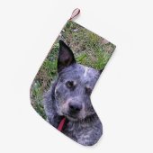 Australian_bovine_dog blue.png kleine kerstsok (Voorkant (Hangend))
