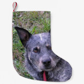Australian_bovine_dog blue.png kleine kerstsok (Voorkant)