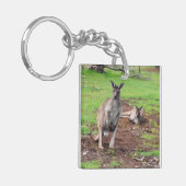 Australian Buck Kangaroo Sleutelhanger (Voorkant Links)