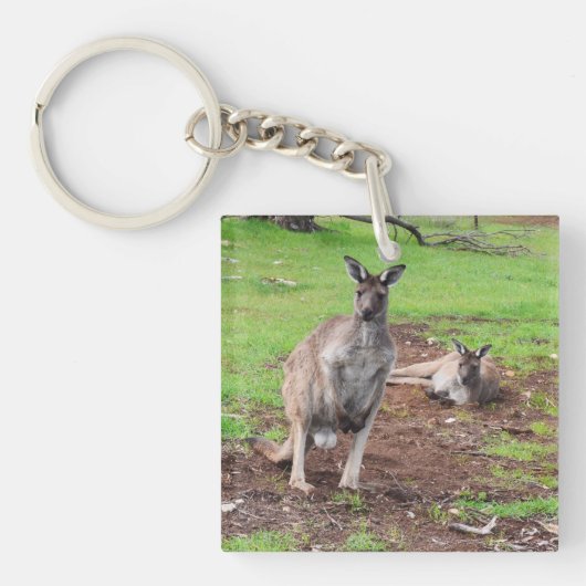 Australian Buck Kangaroo Sleutelhanger (Voorkant)