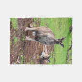 Australian Buck Kangaroo, Small Fleece Blanket. (Voorkant (Horizontaal))