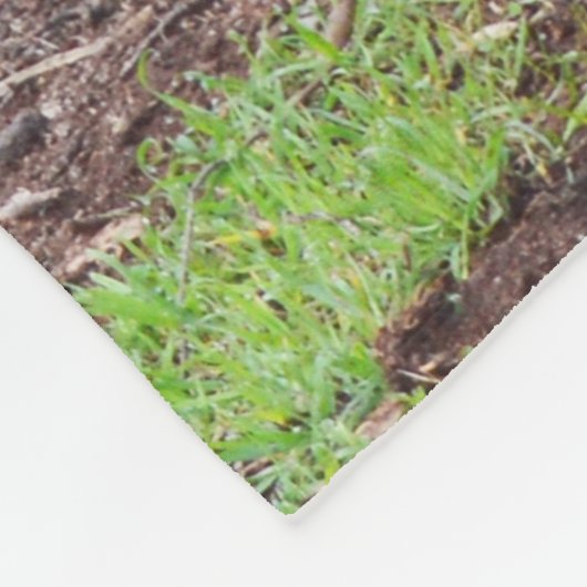 Australian Buck Kangaroo, Small Fleece Blanket. Deken (Hoek)