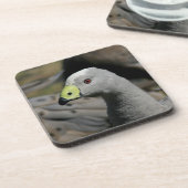 Australian Cape Barren Goose Bier Onderzetter (Linkerzijde)
