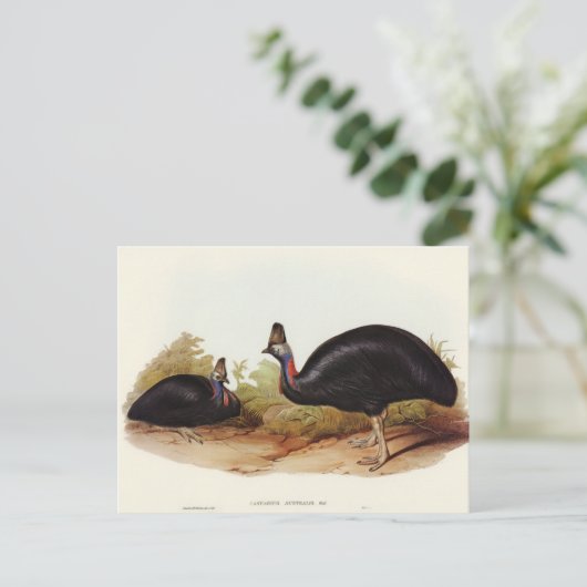 Australian Cassowary van Elizabeth Gould Briefkaart (Staand voorkant)