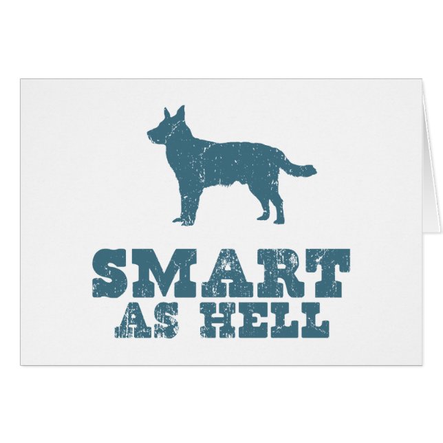 Australian Cattle Dog (Voorkant Horizontaal)