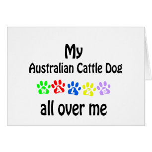 Australian Cattle Dog