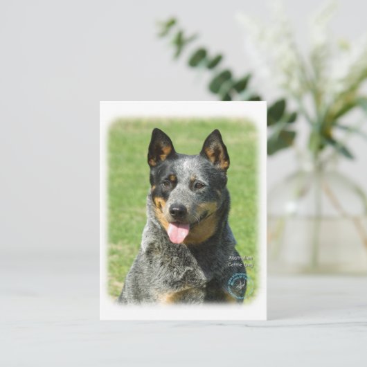 Australian Cattle Dog 9F059D-14 Briefkaart (Staand voorkant)