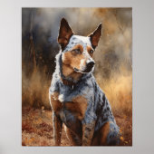 Australian Cattle Dog Art Print Poster (Voorkant)
