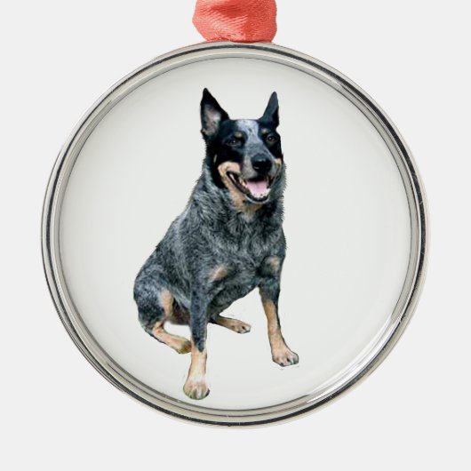 Australian Cattle Dog (B) Metalen Ornament (Voorkant)