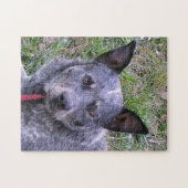 Australian_cattle_dog blue.png legpuzzel (Horizontaal)