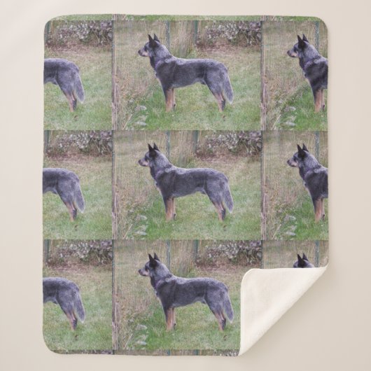 Australian_Cattle_Dog_blue vol Sherpa Deken (Voorkant)