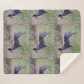 Australian_Cattle_Dog_blue vol Sherpa Deken (Voorkant (horizontaal))