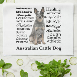 Australian Cattle Dog brengt keukenhanddoek