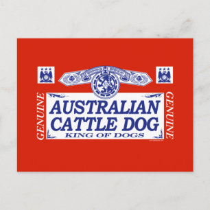 Australian Cattle Dog Briefkaart