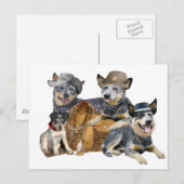 Australian Cattle Dog Briefkaart (Voorkant / Achterkant)