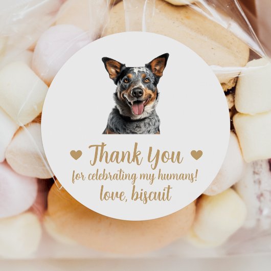 Australian Cattle Dog Bruiloft Favor Stickers