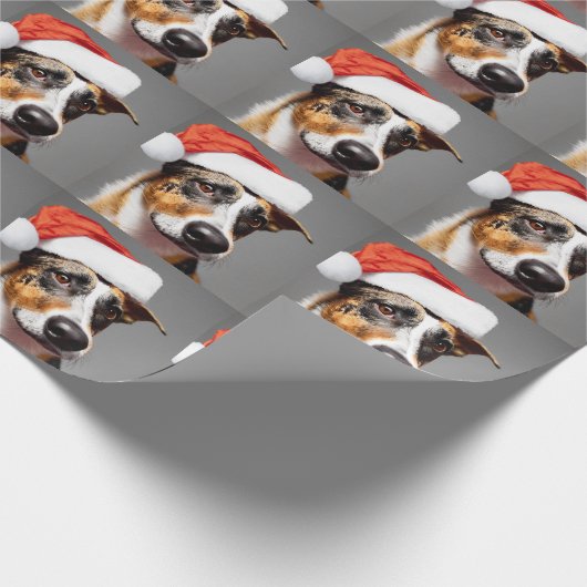 Australian Cattle Dog Cadeaupapier (Hoek)