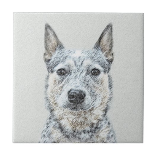 Australian Cattle Dog - Cute Original Dog Art Tegeltje (Voorkant)