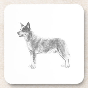 Australian Cattle Dog Drankjes Onderzetter