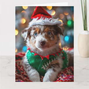 Australian Cattle Dog Elf Puppy Christmas Kaart