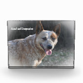 Australian Cattle Dog Fotoblokken (Voorkant)
