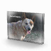 Australian Cattle Dog Fotoblokken (Rechts)