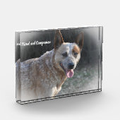 Australian Cattle Dog Fotoblokken (Links)