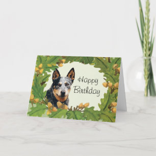 Australian Cattle Dog Happy Birthday Kaart