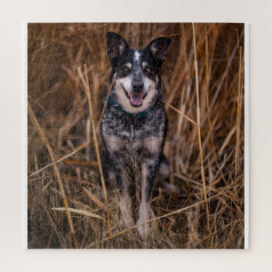 Australian Cattle Dog Heeler Legpuzzel