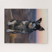 Australian Cattle Dog Heeler - Sunset - Legpuzzel (Horizontaal)