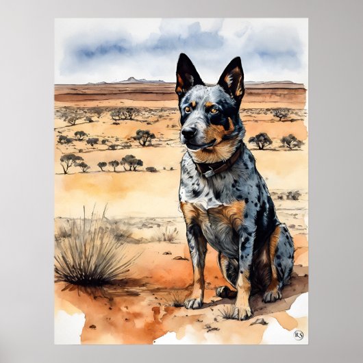 Australian Cattle Dog - Hond Art Print (Voorkant)