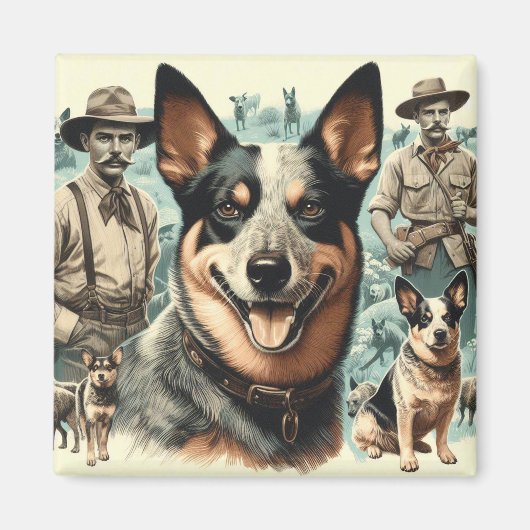  Australian Cattle Dog Illustratie Magneet (Voorkant)