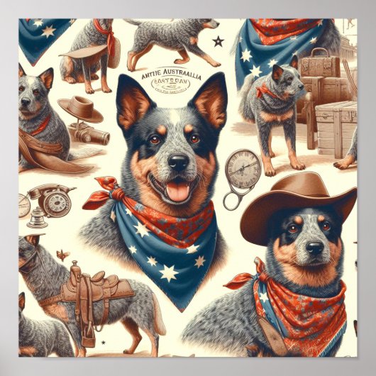  Australian Cattle Dog Illustratie Poster (Voorkant)