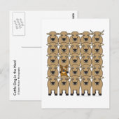 Australian Cattle Dog in Herd Briefkaart (Voorkant / Achterkant)