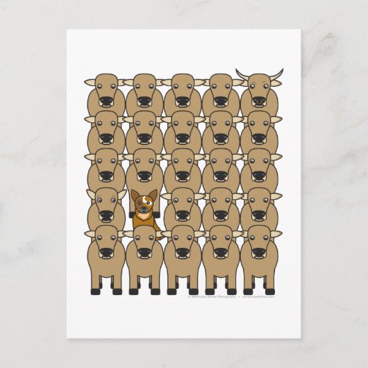 Australian Cattle Dog in Herd Briefkaart (Voorkant)