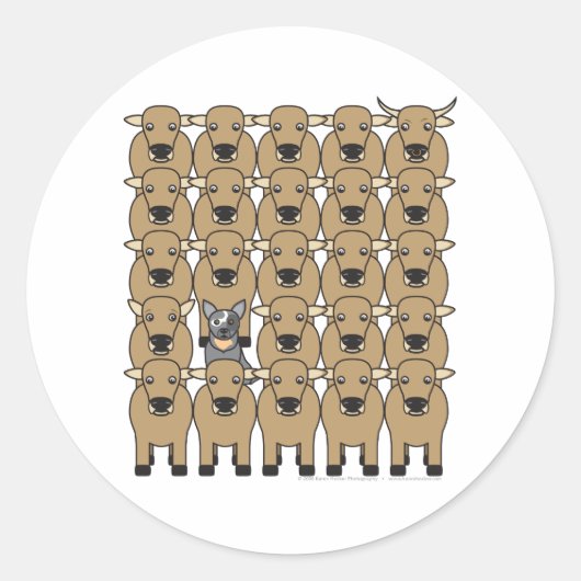 Australian Cattle Dog in Herd Ronde Sticker (Voorkant)
