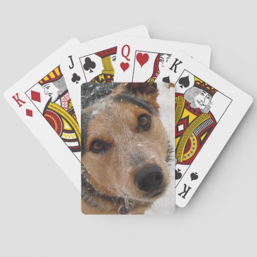 Australian Cattle Dog in Snow - Western Speelkaarten (Achterkant)