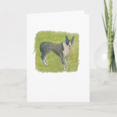 Australian Cattle Dog Kaart (Voorkant)