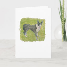 Australian Cattle Dog Kaart