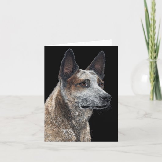 Australian Cattle Dog Kaart - "Jack" (Voorkant)