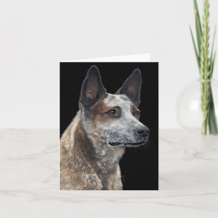 Australian Cattle Dog Kaart - "Jack"