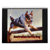 Australian Cattle Dog Kalender (Hoes)
