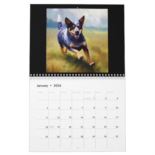 Australian Cattle Dog Kalender (Jan 2026)