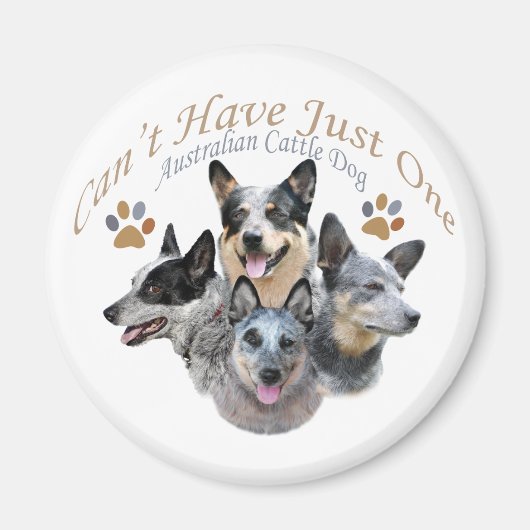 Australian Cattle Dog kan niet slechts één cadeau  Magneet (Voorkant)
