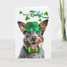 Australian Cattle Dog Lucky St. Patrick's Day