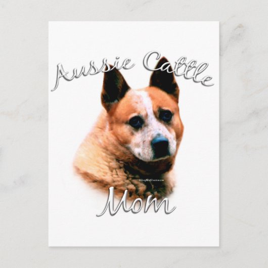 Australian Cattle Dog Ma 2 Briefkaart (Voorkant)