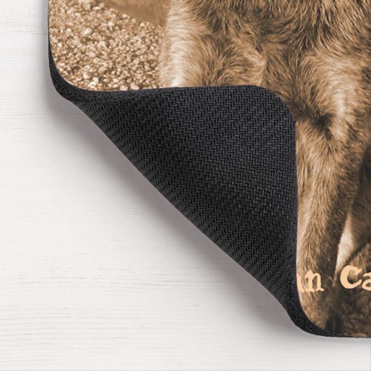 Australian Cattle Dog Mousepad #2 Muismat (Hoek)