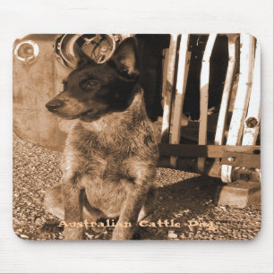 Australian Cattle Dog Mousepad #2 Muismat