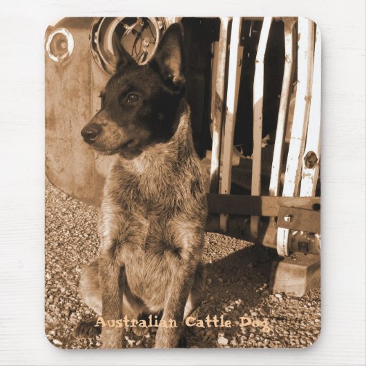 Australian Cattle Dog Mousepad #2 Muismat (Voorkant)