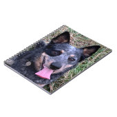 Australian Cattle Dog notitieboek (Linkerzijde)